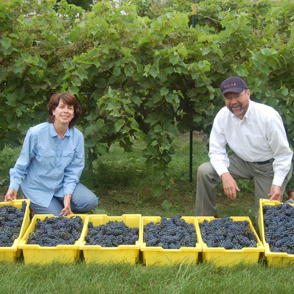 Foch Harvest September 12, 2010 Mary and Gerry show off a few lugs of the Marechal Foch harvest.