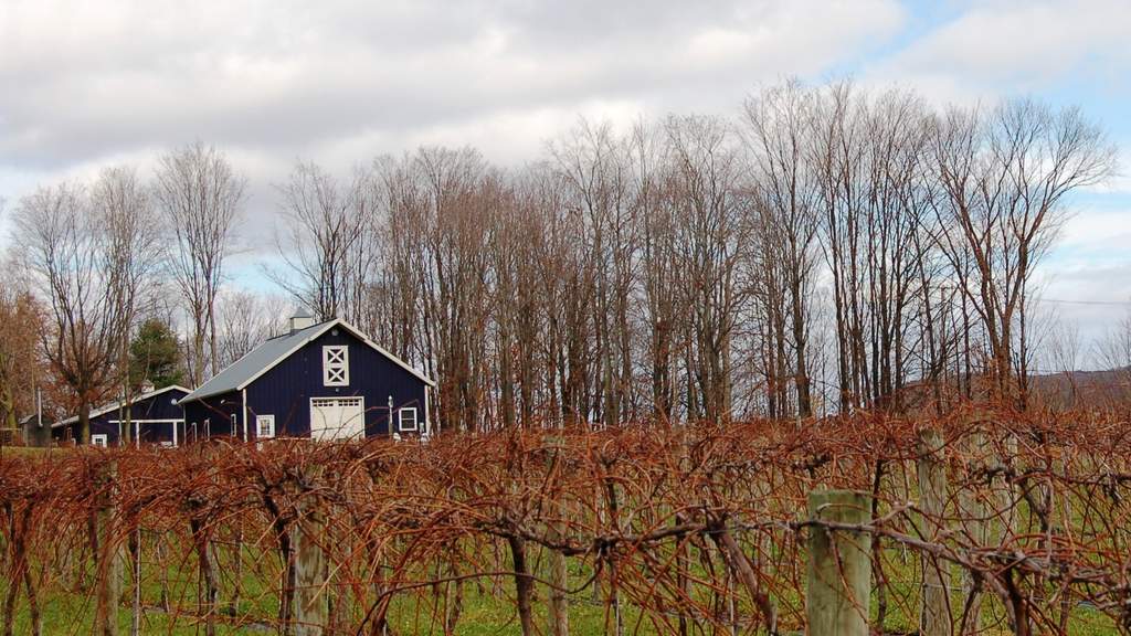 barns in Nov