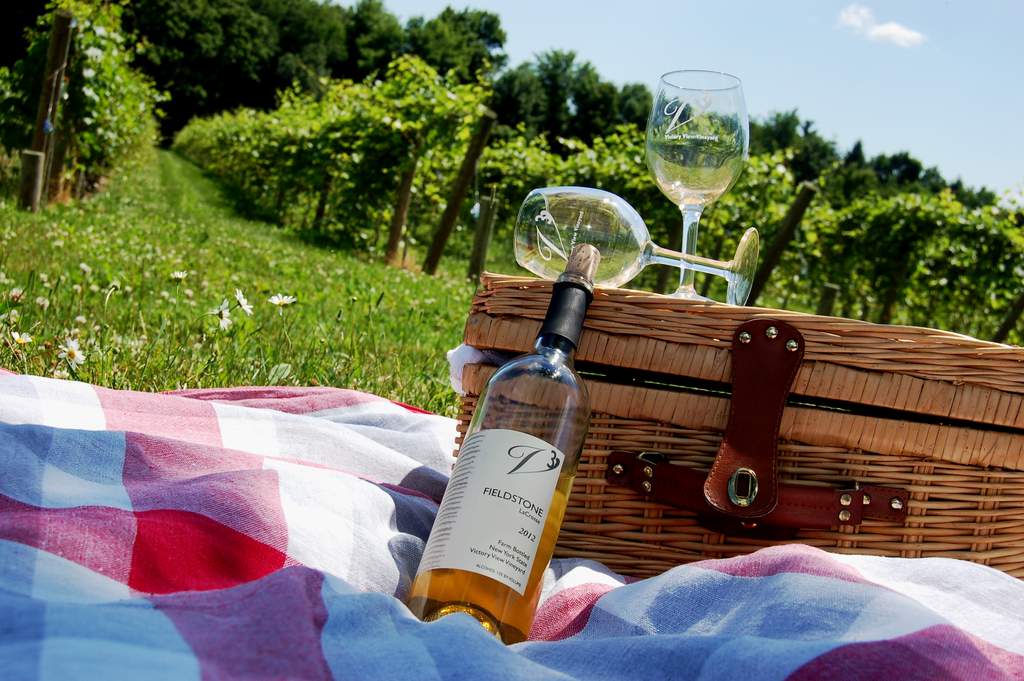 Enjoy a Victory View Vineyard wine and cheese picnic on The Cheese Tour.