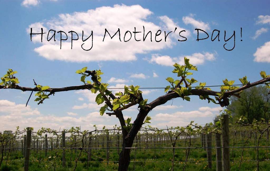 Happy Mother's Day from Victory View Vineyard.