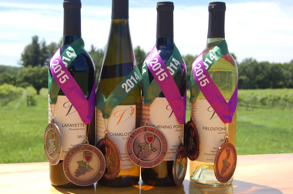 Victory View Vineyard