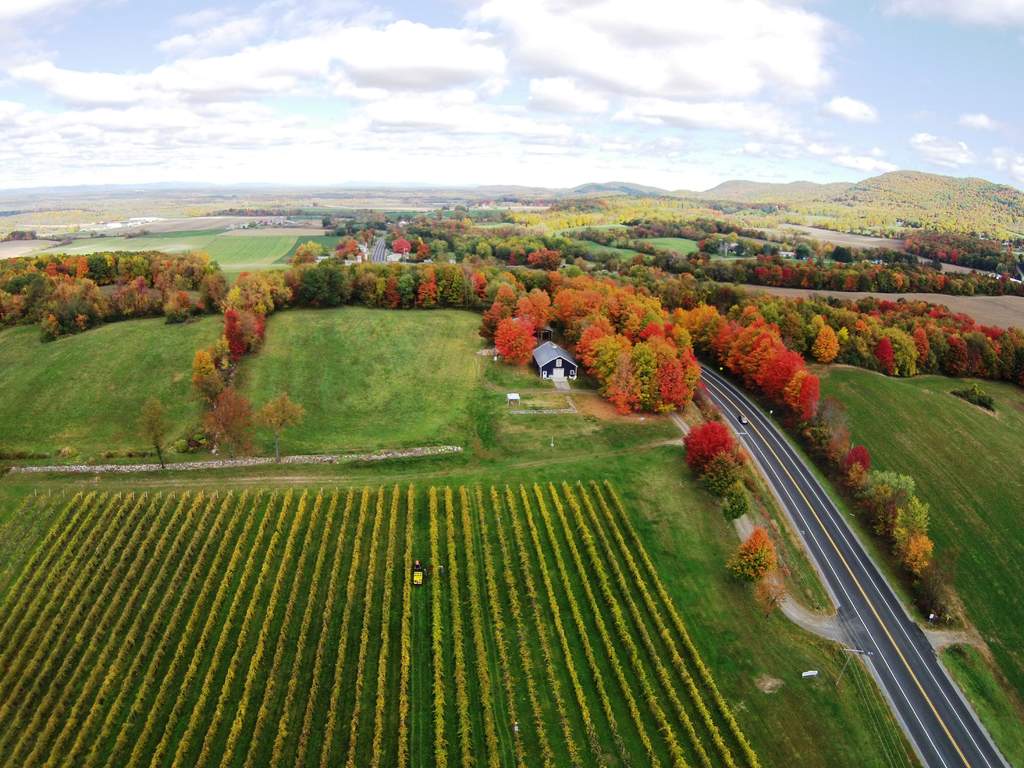Victory View Vineyard - a drone view - in the Upper Hudson region.