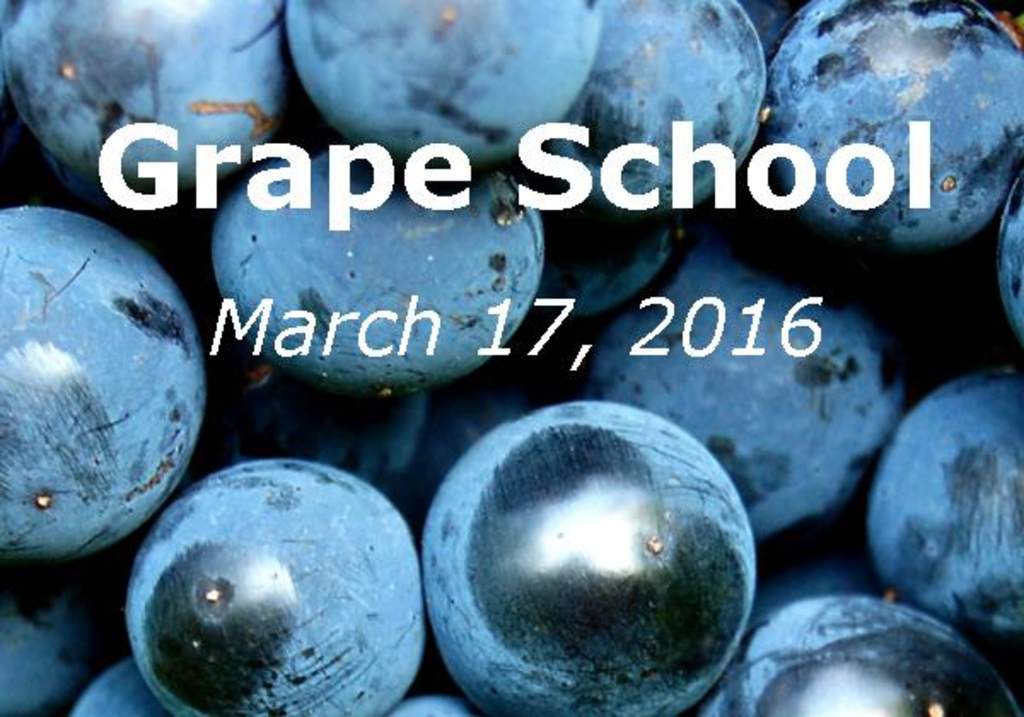 grape school Victory View Vineyard on Upper Hudson Valley Wine Trail panel