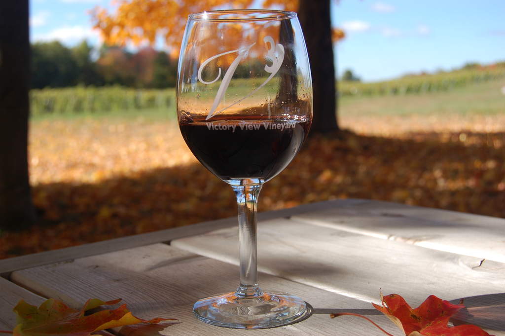 A glass of Lafayette maréchal foch wine on a picnic table overlooking vineyard in Autumn.