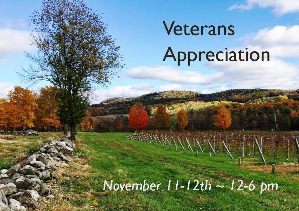 Veterans Day Appreciation at winery. Photo shows Autumn view of vineyard.