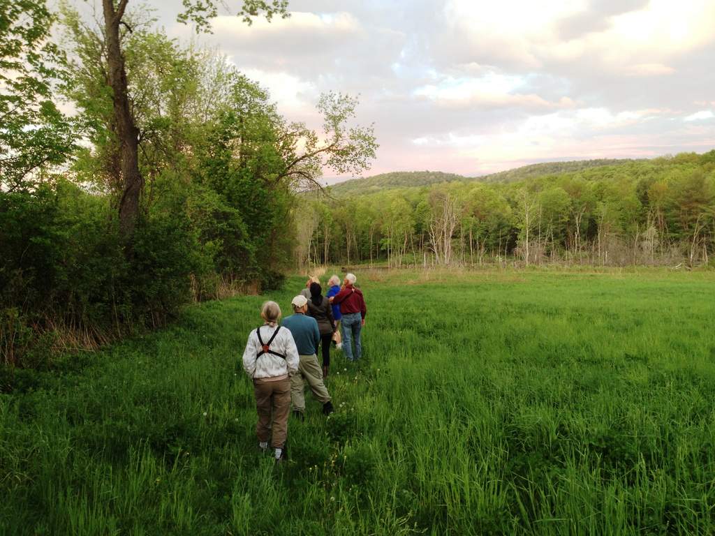 Bird watchers walk to the wetland.