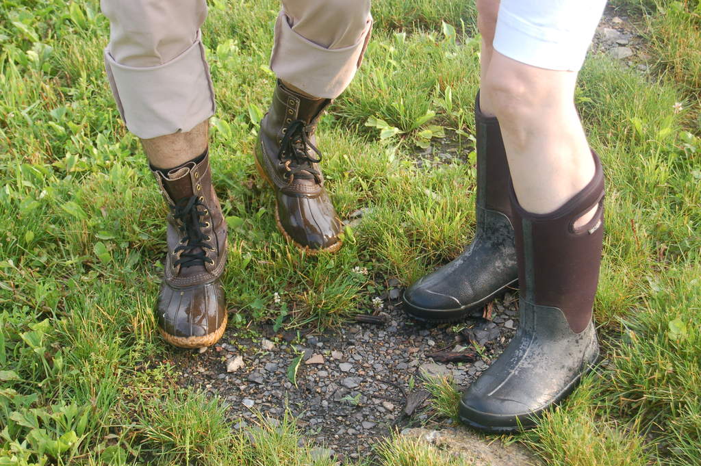 Rainy day footwear in the vineyard.