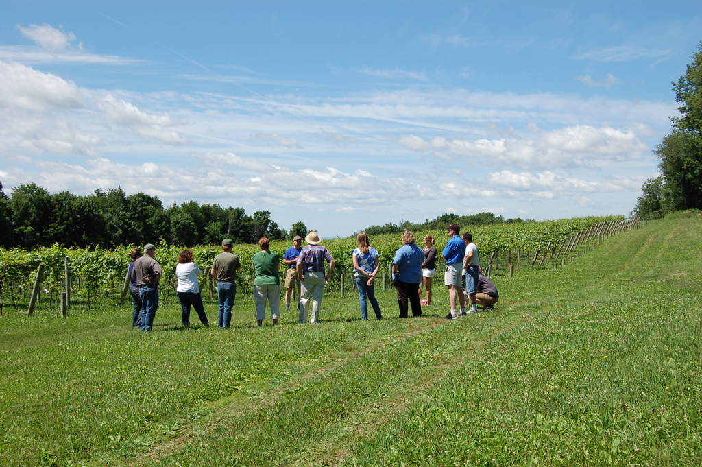 Vineyard tours are educational and free.