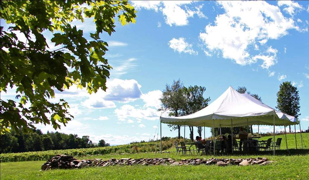 Cheese Tour Tent at Victory View Vineyard Relax outside at Victory View Vineyard on The Cheese Tour.