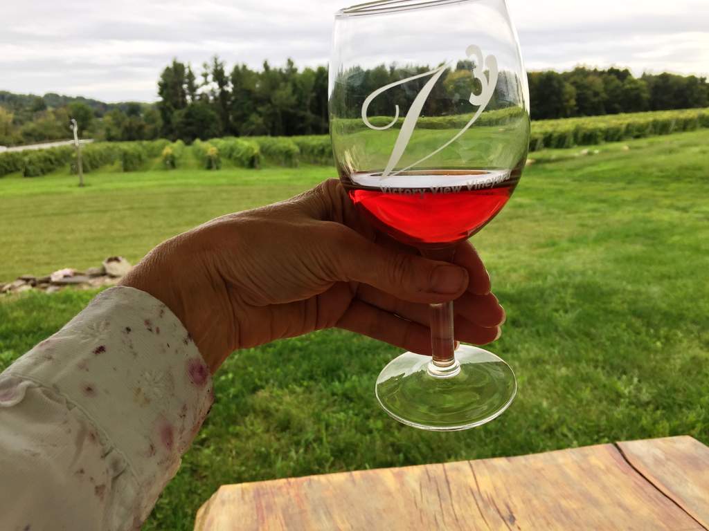 Cheers to Victory View Vineyard's rosé to be released Autumn of 2018.