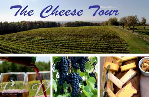 Vineyard and winery tours, wine tasting on the Cheese Tour at Victory View Vineyard.