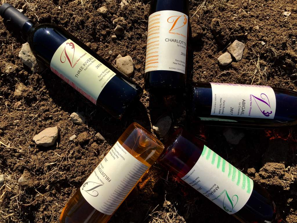 five wine bottles victory view vineyard wine bottles laying label up in the dirt