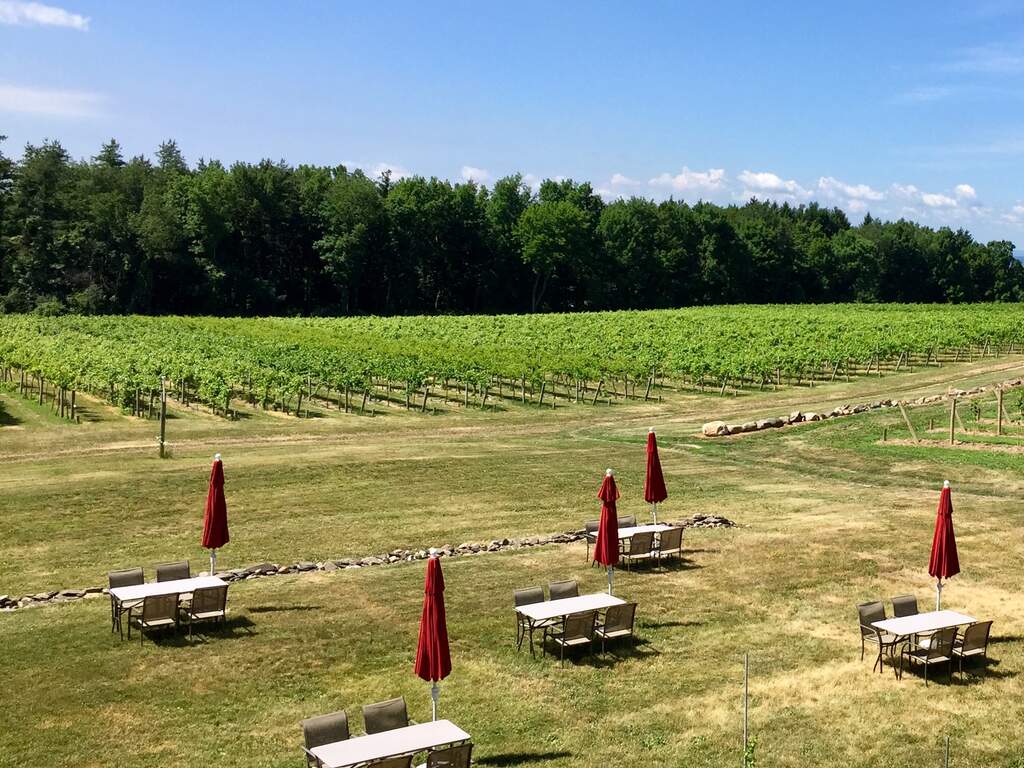 opt outside tables and umbrellas set up outside with vineyard in view