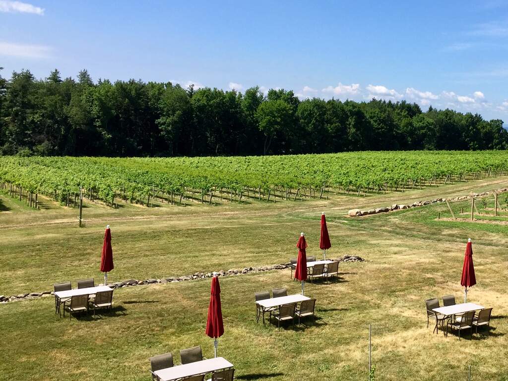 tables and umbrellas set up outside with vineyard in view