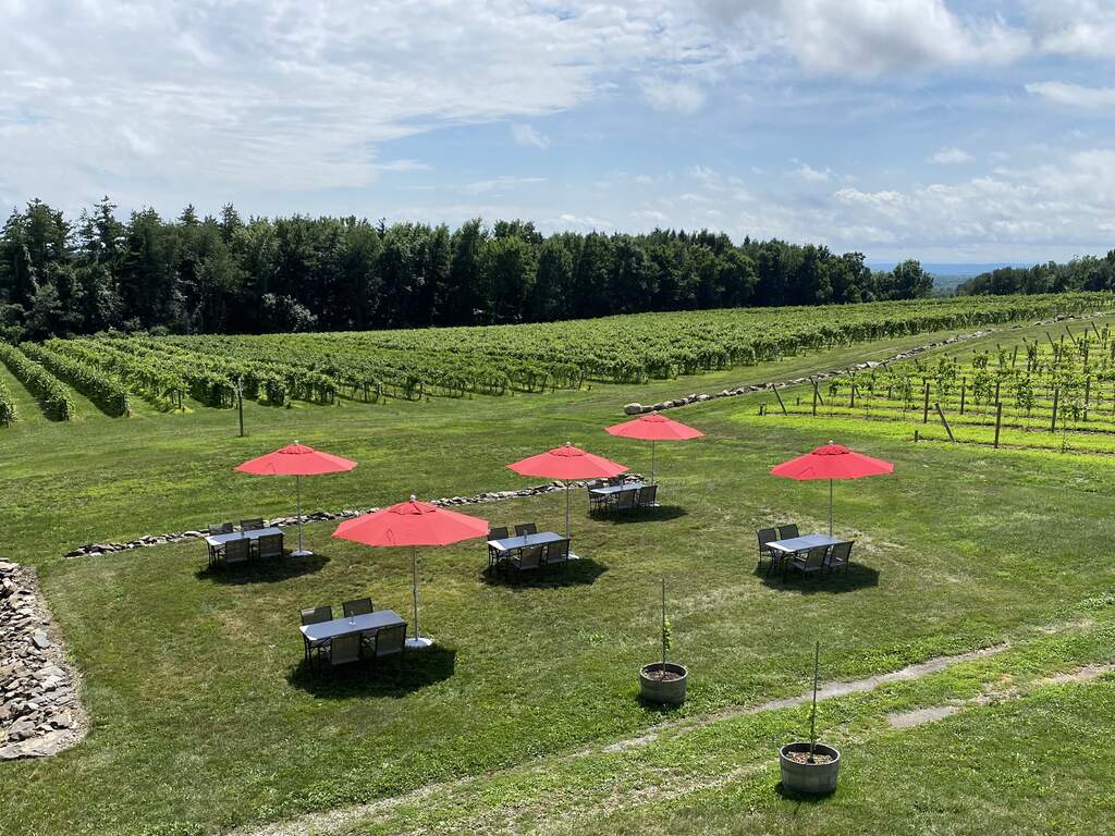 outside wine tasting outside tables with umbrellas with vineyard in the background