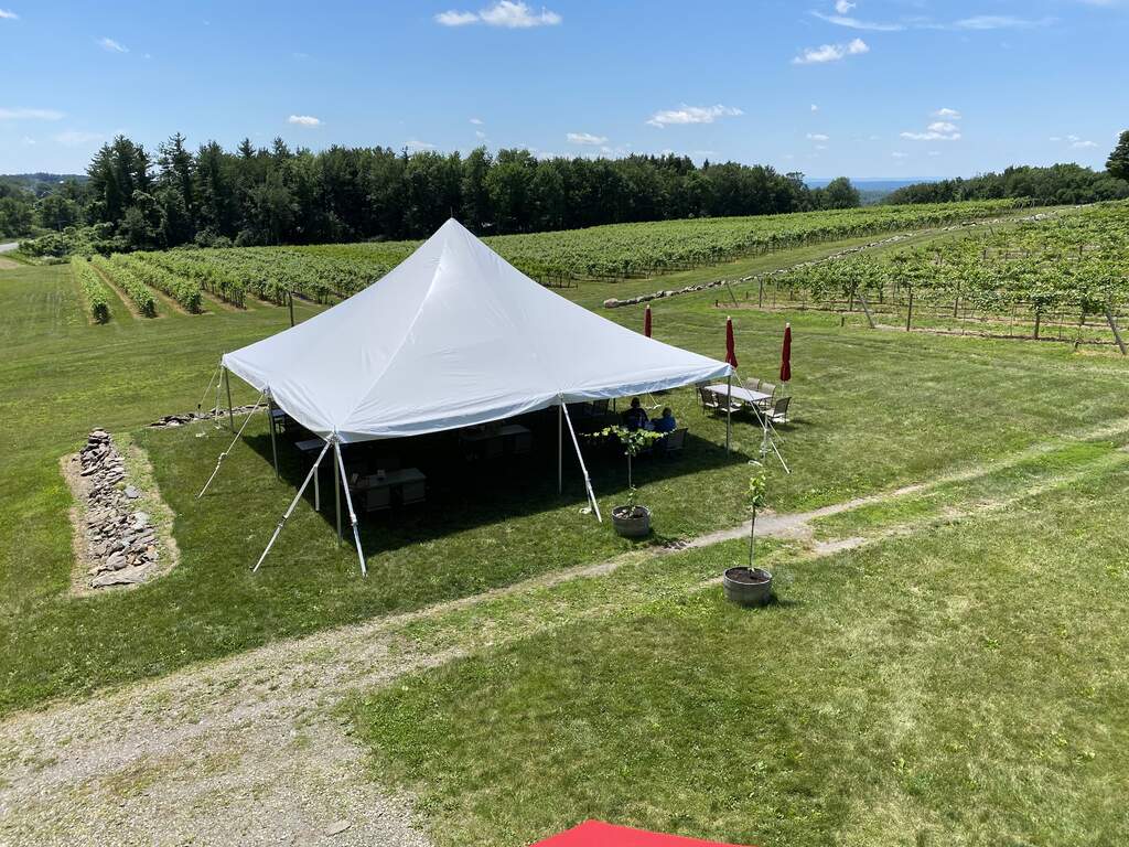 Outside wine tastings overlooking the vineyard in a tent or at umbrella tables.
