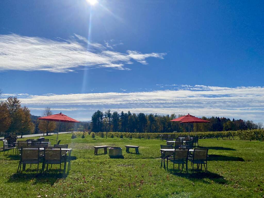 Autumn day outside setting for wine tasting overlooking the vineyard.