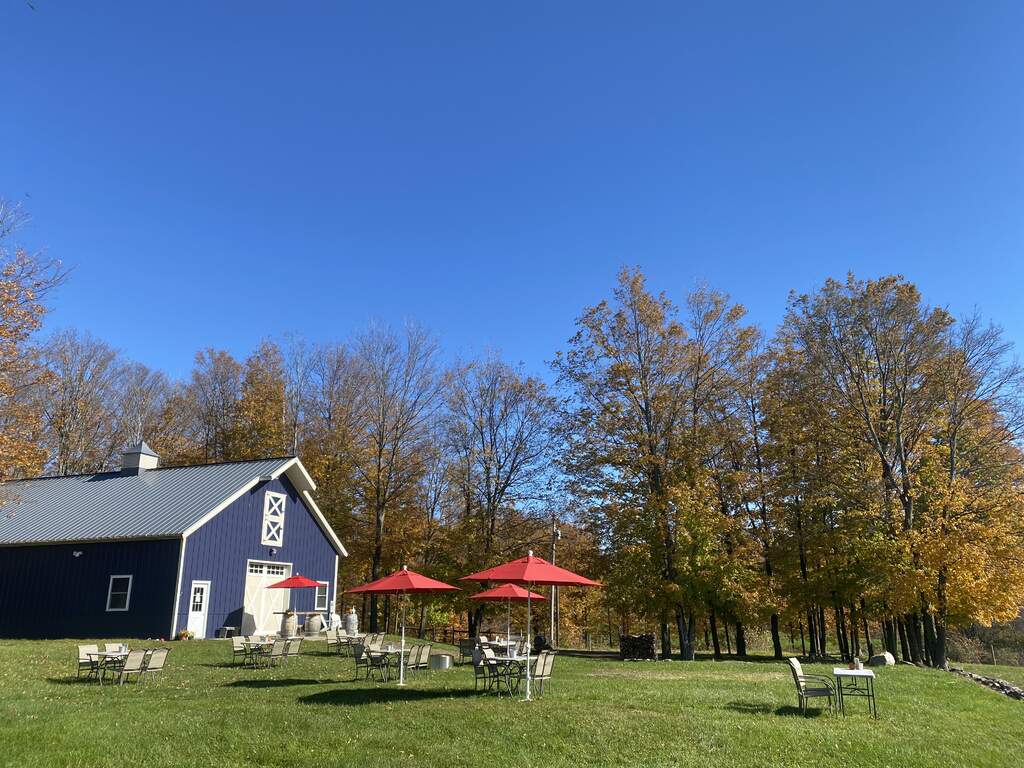 Umbrella tables are spaced outside overlooking the vineyard.