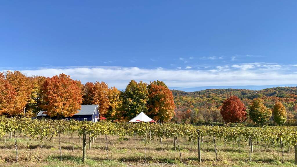 A view of Victory View Vineyard and Farm Winery from the hilltop vineyard looking East.