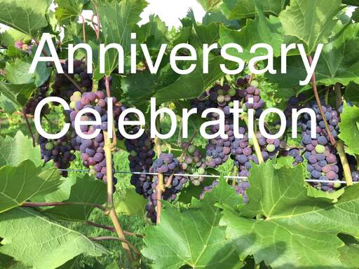 Victory View Vineyard is celebrating anniversary on August 4-5, 2023.