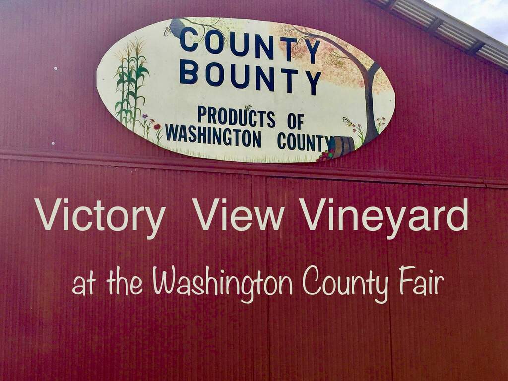 Find Victory View Vineyard in the County Bounty Building at the Washington County Fair.