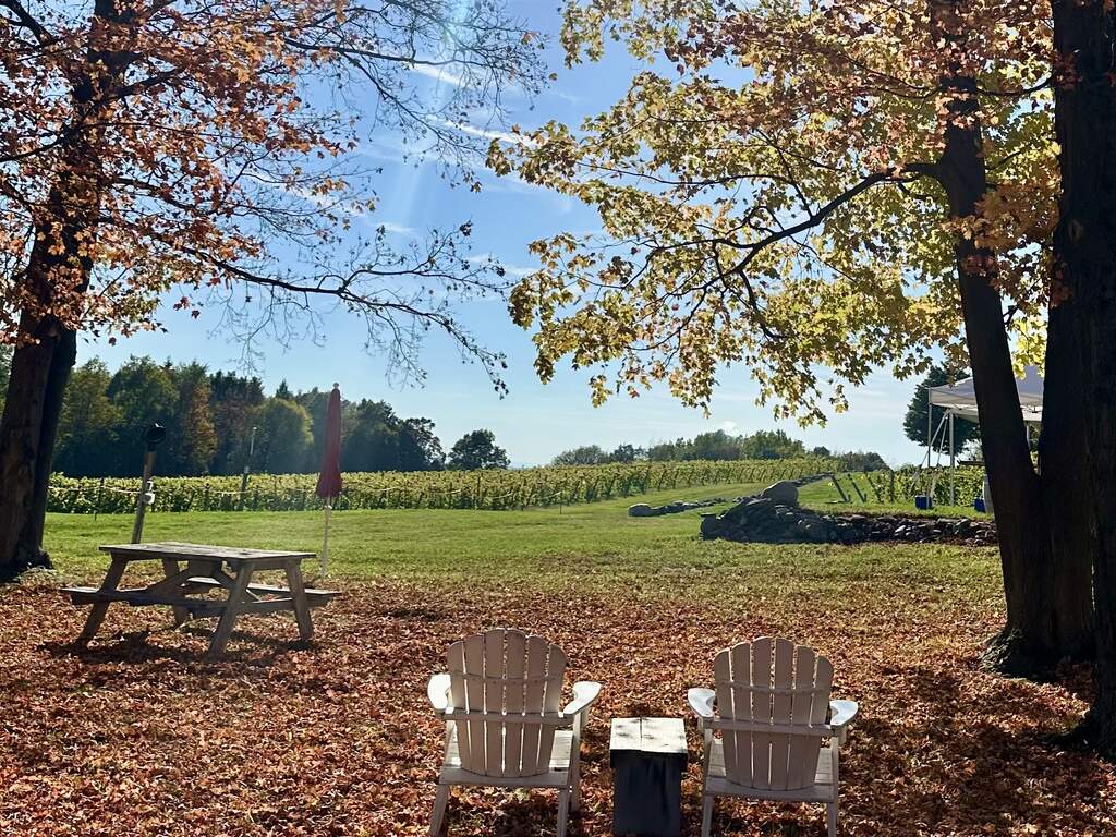 Victory View Vineyard in Autumn Autumn vineyard view, leaves and Adirondack chairs at Victory View Vineyard.